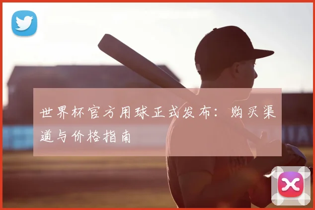 世界杯官方用球正式发布:购买渠道与价格指南