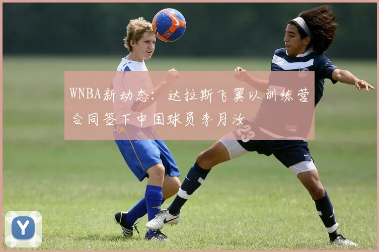 WNBA新动态:达拉斯飞翼以训练营合同签下中国球员李月汝