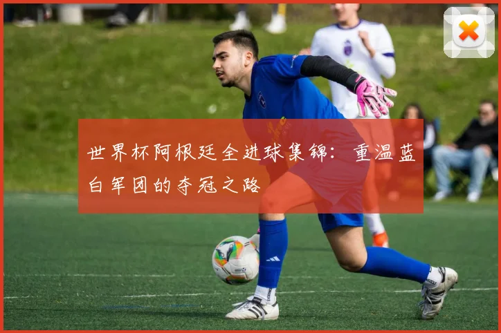 世界杯阿根廷全进球集锦:重温蓝白军团的夺冠之路