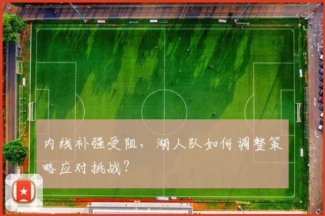 内线补强受阻，湖人队如何调整策略应对挑战？