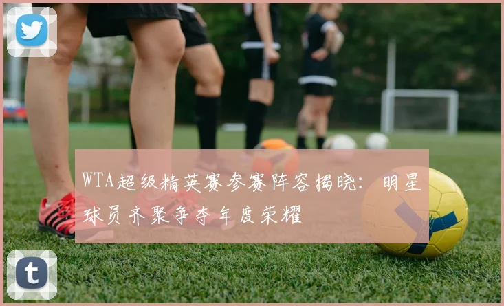 WTA超级精英赛参赛阵容揭晓:明星球员齐聚争夺年度荣耀